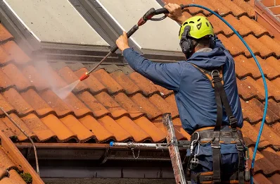Démoussage et hydrofuge de toiture à Genestelle